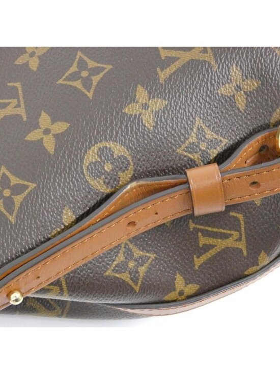 Louis Vuitton Monogram Dauphine Backpack Brown Marron main image 10